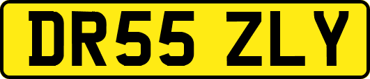 DR55ZLY