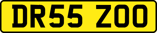 DR55ZOO