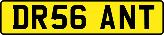 DR56ANT