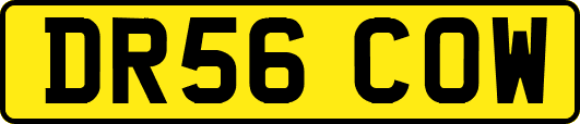 DR56COW
