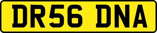 DR56DNA