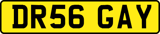 DR56GAY