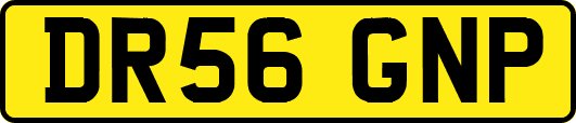 DR56GNP