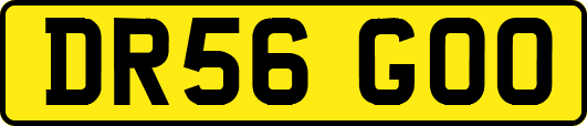 DR56GOO