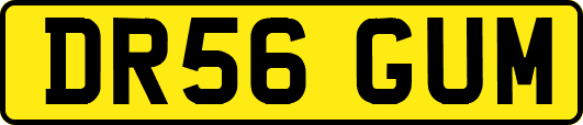 DR56GUM