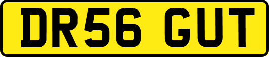 DR56GUT