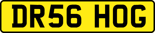 DR56HOG