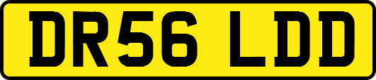 DR56LDD