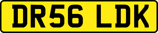 DR56LDK