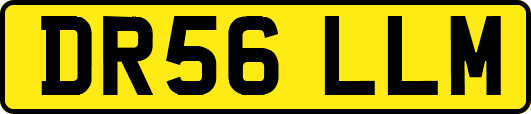 DR56LLM