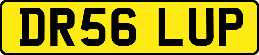 DR56LUP