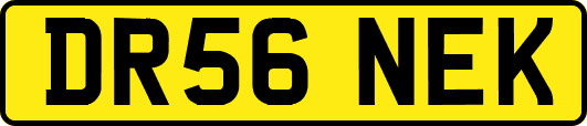 DR56NEK