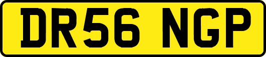 DR56NGP
