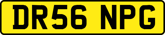 DR56NPG