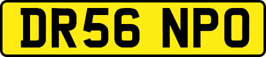 DR56NPO