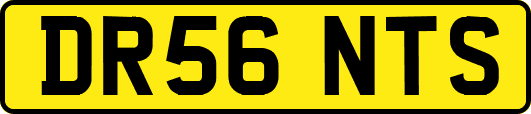 DR56NTS