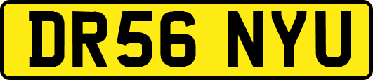 DR56NYU