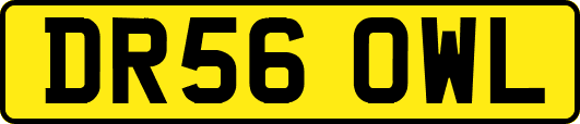 DR56OWL