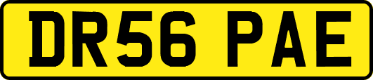 DR56PAE