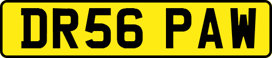 DR56PAW