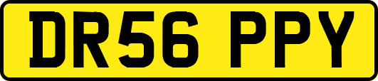 DR56PPY
