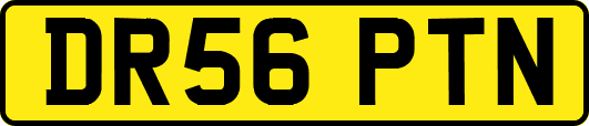 DR56PTN