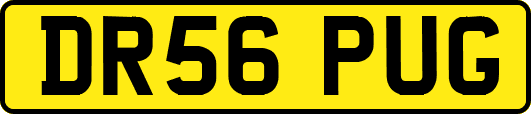 DR56PUG