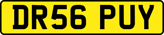 DR56PUY