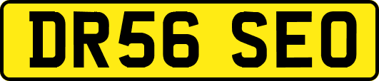 DR56SEO