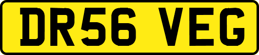 DR56VEG