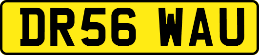 DR56WAU
