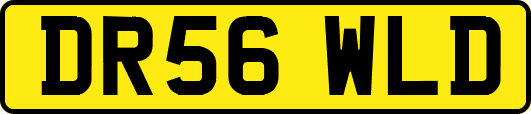 DR56WLD