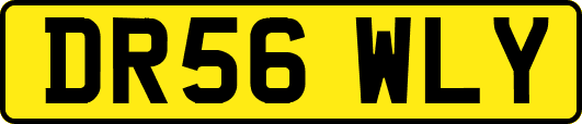 DR56WLY