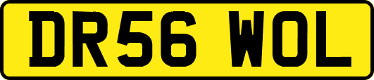 DR56WOL