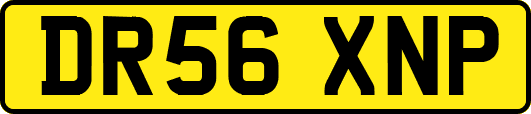 DR56XNP