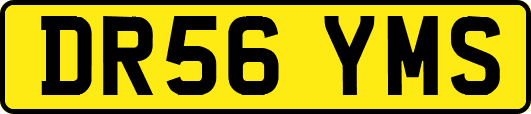 DR56YMS
