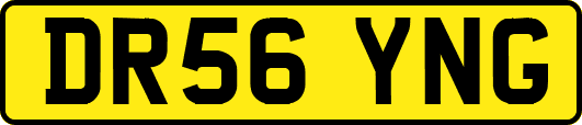 DR56YNG