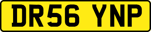 DR56YNP
