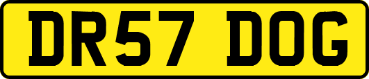DR57DOG