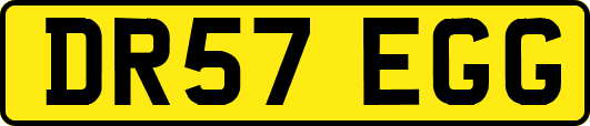 DR57EGG