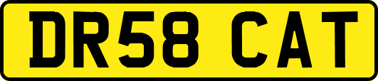 DR58CAT