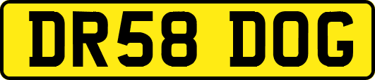 DR58DOG