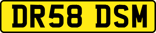DR58DSM