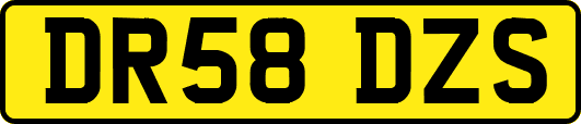DR58DZS