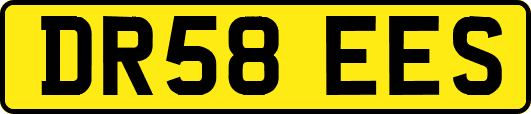 DR58EES
