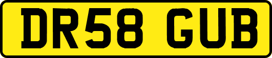DR58GUB