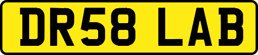 DR58LAB