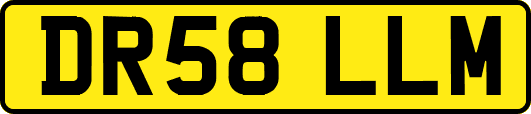 DR58LLM