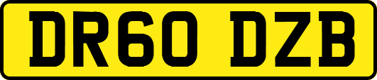 DR60DZB