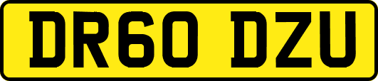 DR60DZU